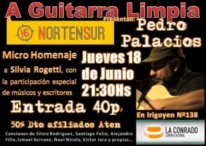 Lee más sobre el artículo A guitarra limpia: homenaje a Silvia Roggetti