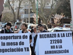 Lee más sobre el artículo Neuquén le dice ¡no a la armonización!